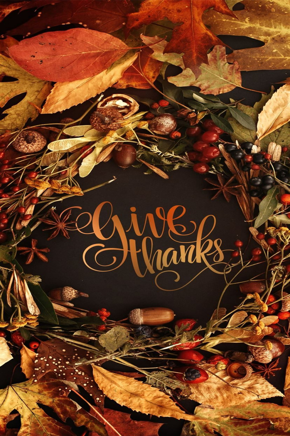 Background iPhone  Wallpapers in   Thanksgiving wallpaper