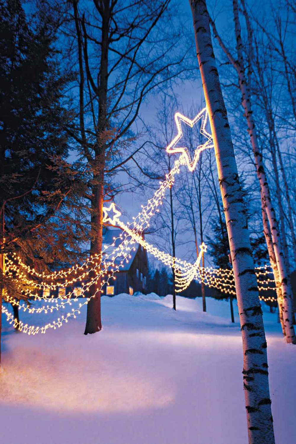 Beautiful Christmas Outdoor Lighting DIY Ideas  Making Lemonade