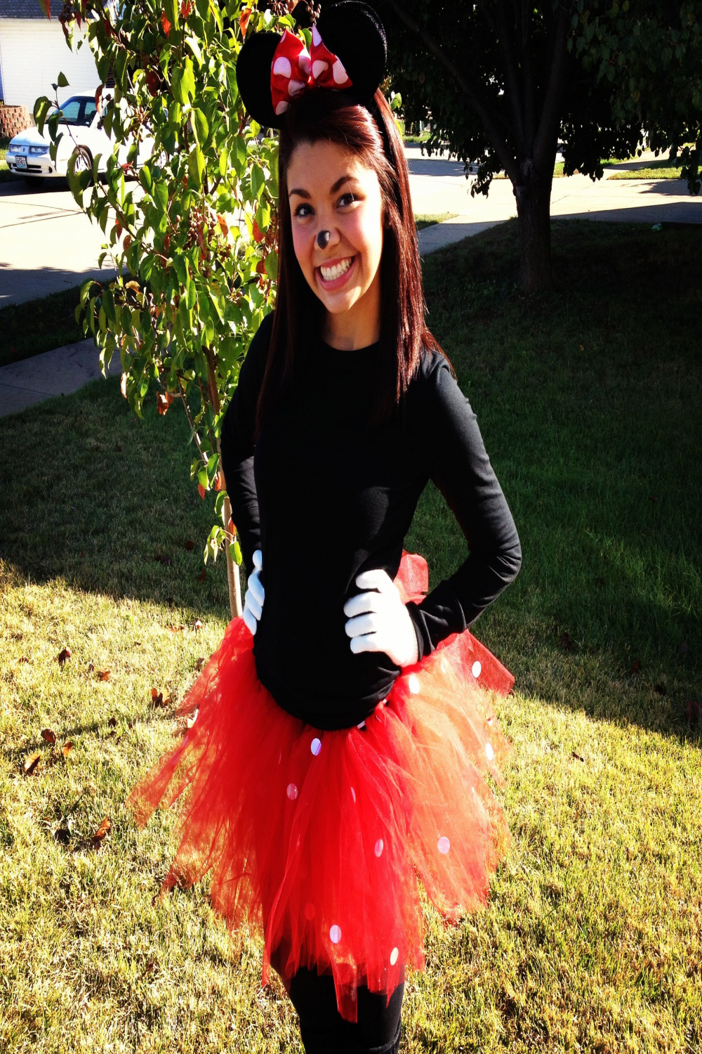 Best Costumes with tutus ideas  costumes, halloween costumes