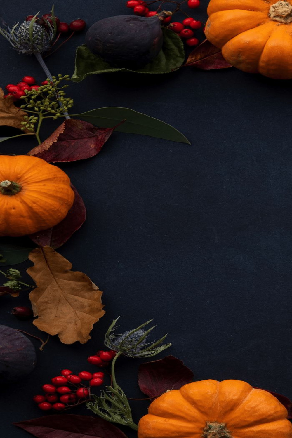 black background happy thanksgiving wallpaper pumpkins cranberries