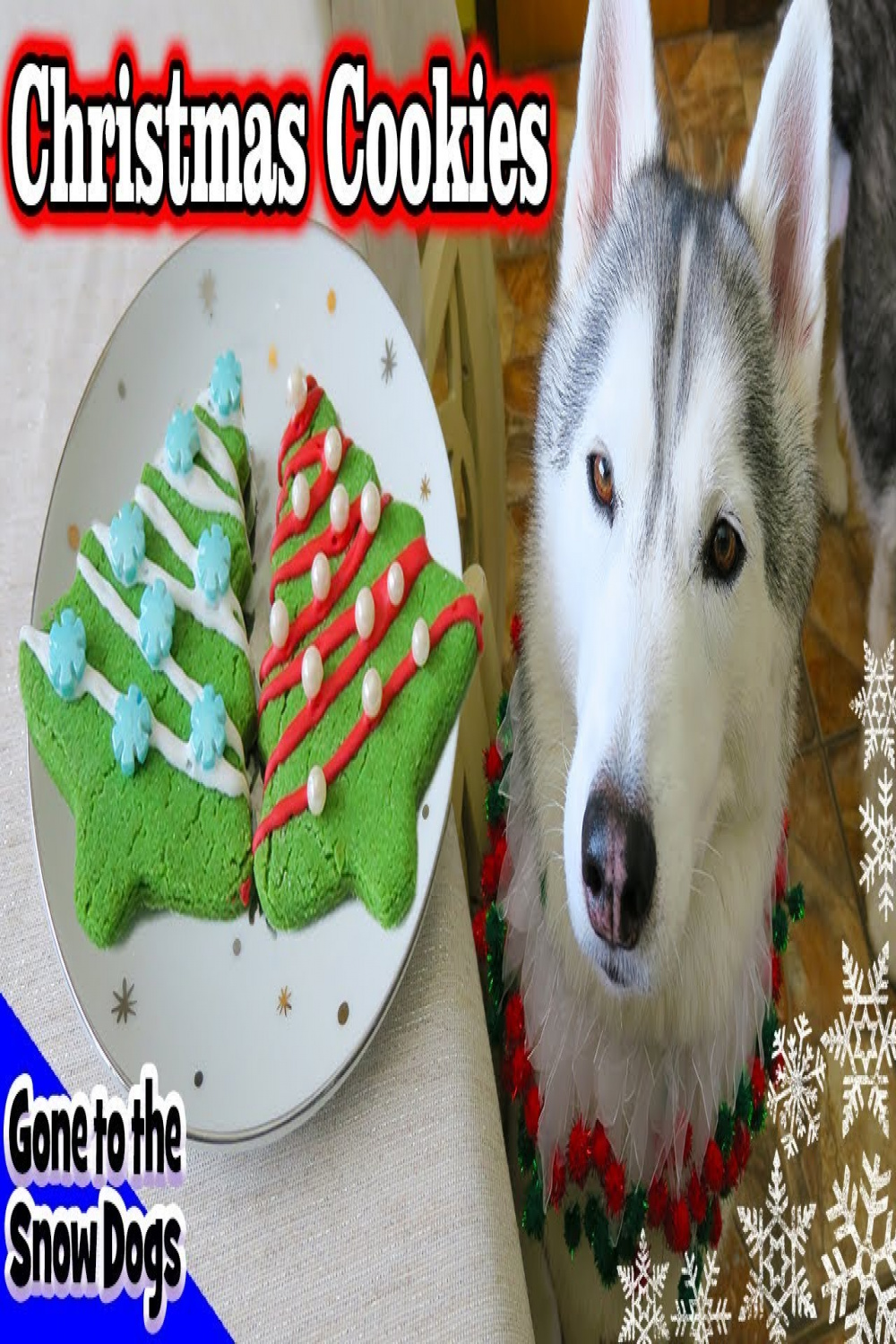 Christmas Cookies for Dogs  DIY Easy Dog Treats Recipe