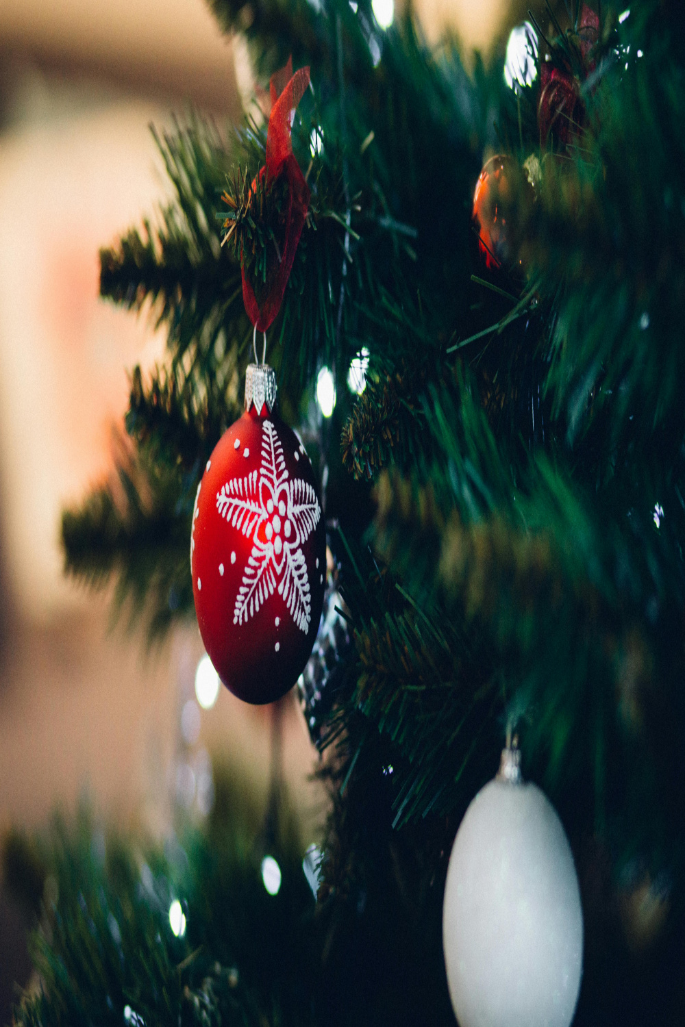 Close-up of Christmas Tree · Free Stock Photo