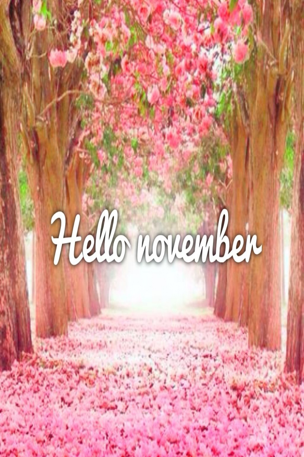 Hello November Images  Hello november, November images, November