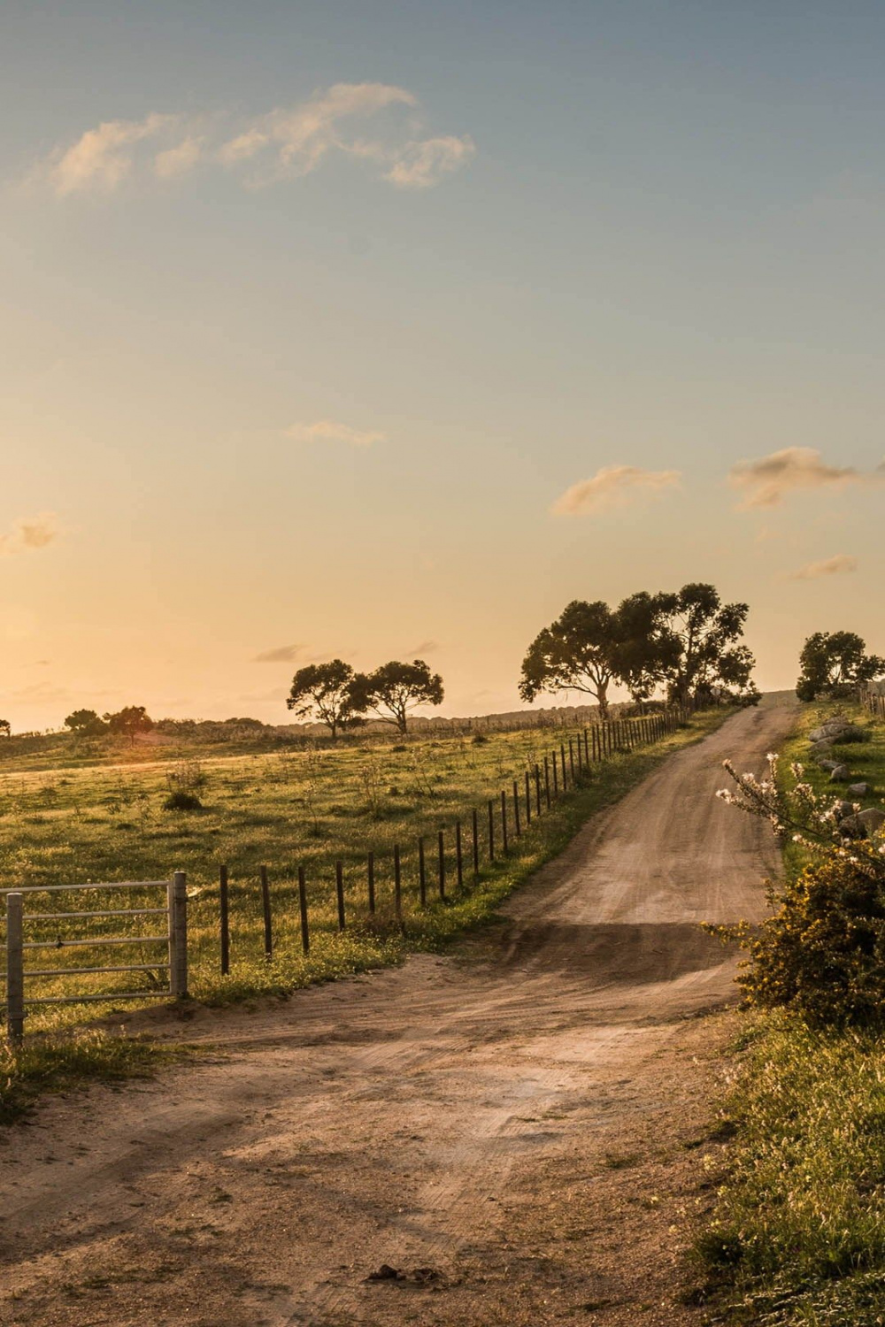 Nature Country Fence Road View iPhone  Wallpaper Download