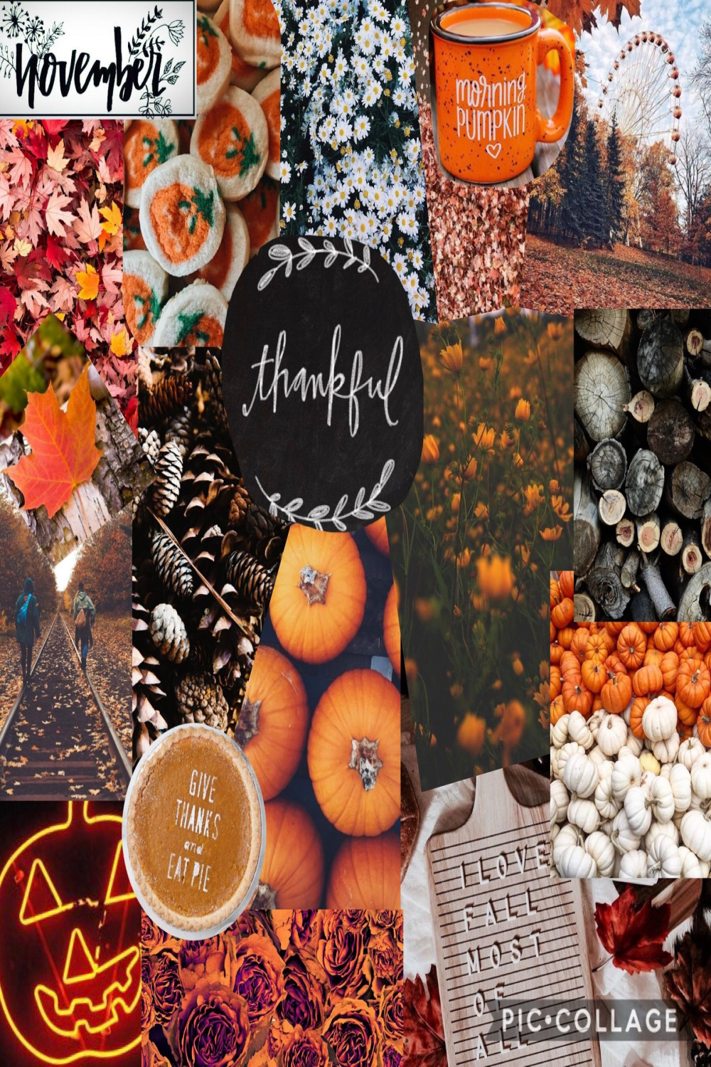 November aesthetic collage  November wallpaper, Thanksgiving