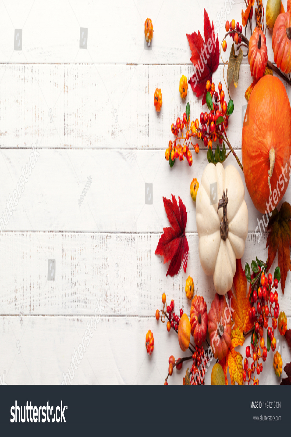 , Thanksgiving Background Images, Stock Photos, D objects