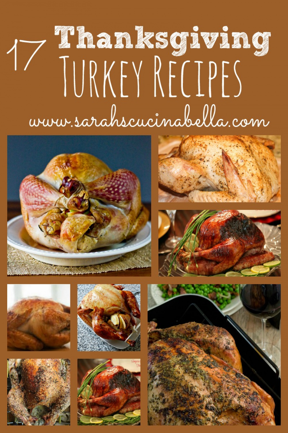 Thanksgiving Turkey Recipes  Sarah