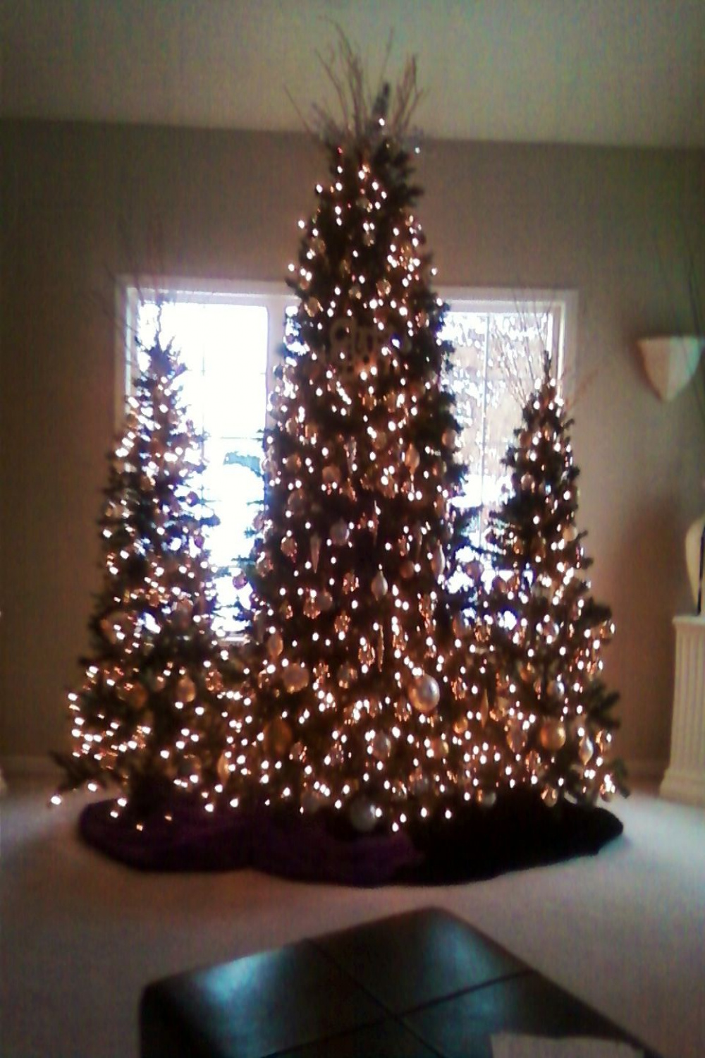 Three christmas trees in the living room!  Holiday christmas tree