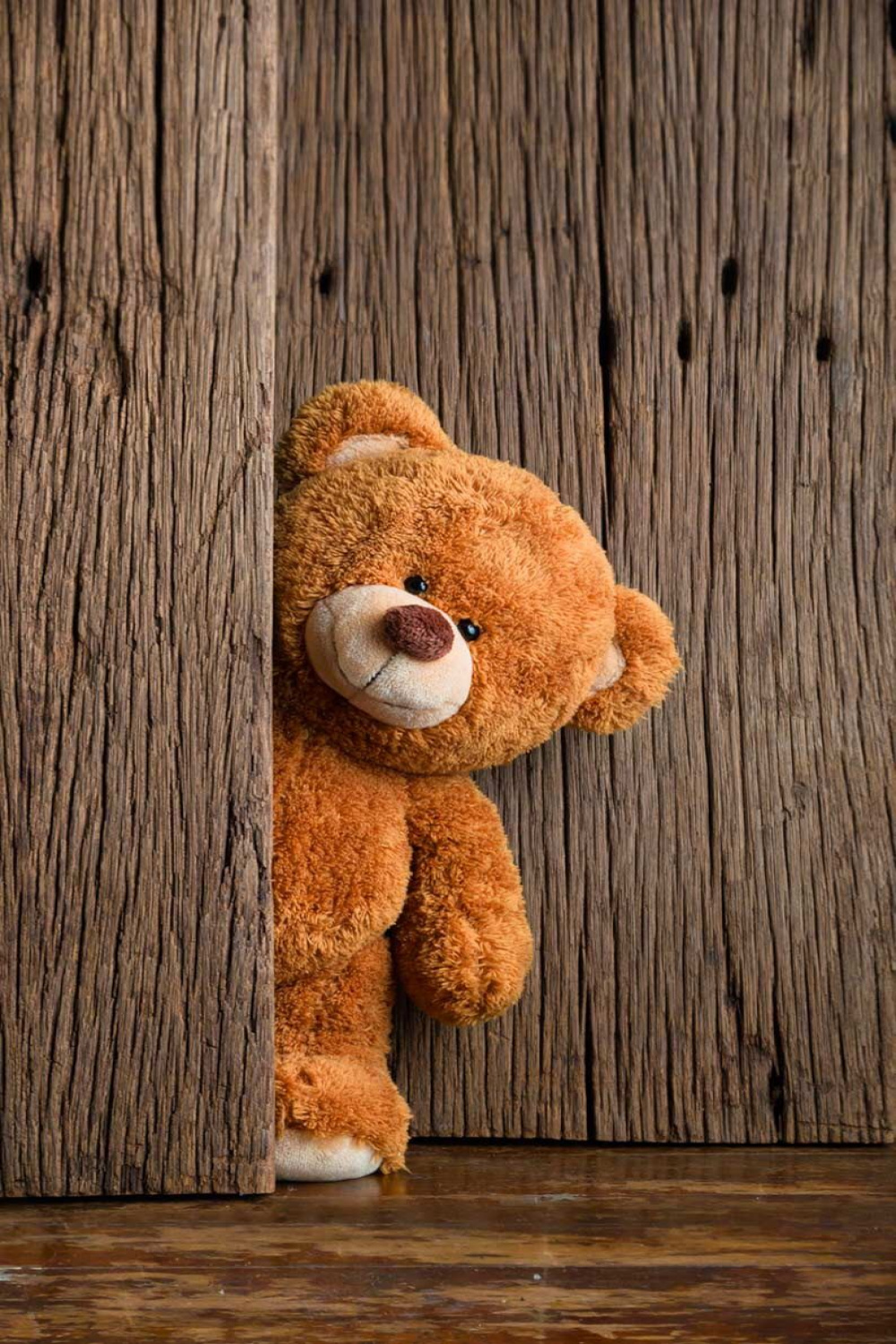 Wallpaper iPhone ⚪  Teddy bear wallpaper, Teddy bear images