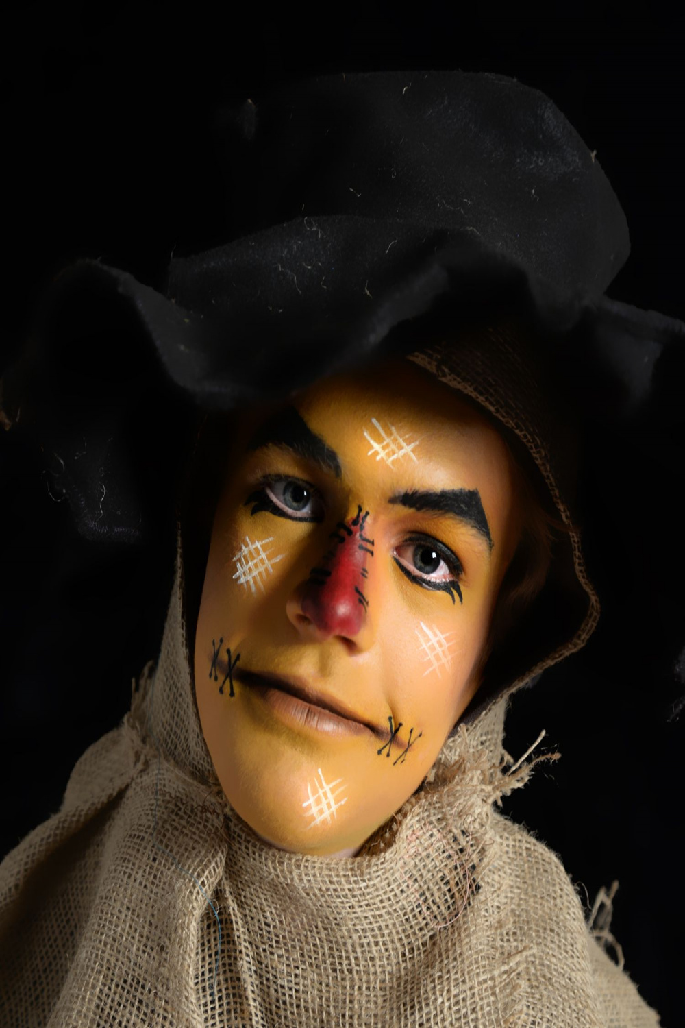 Wizard of Oz Scarecrow  Halloween makeup inspiration, Wizard of