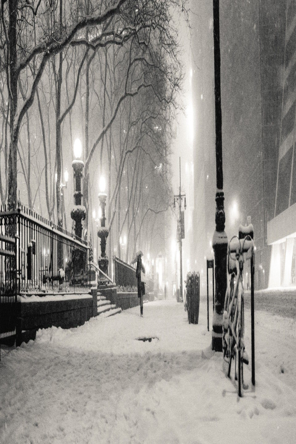 x black and white, winter, snow, New York City, monochrome