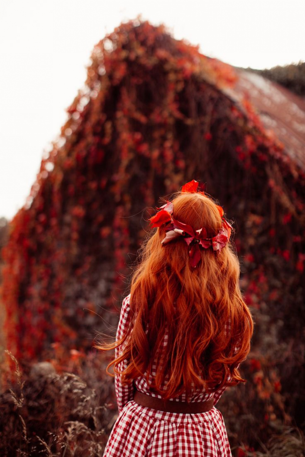 A November Crown  Ginger hair, Crown aesthetic, Red hair