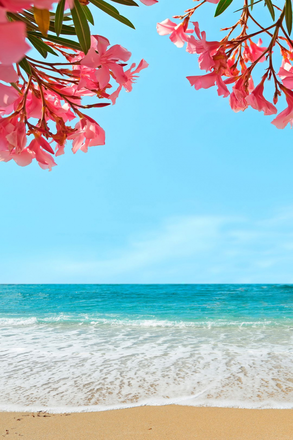 Beautiful beach🏝  Cute summer wallpapers, Summer beach wallpaper