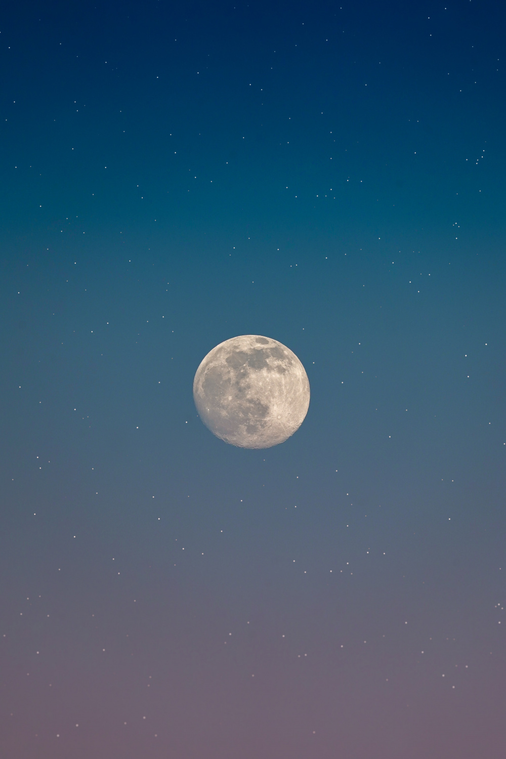 + Beautiful Moon Pictures  Download Free Images on Unsplash