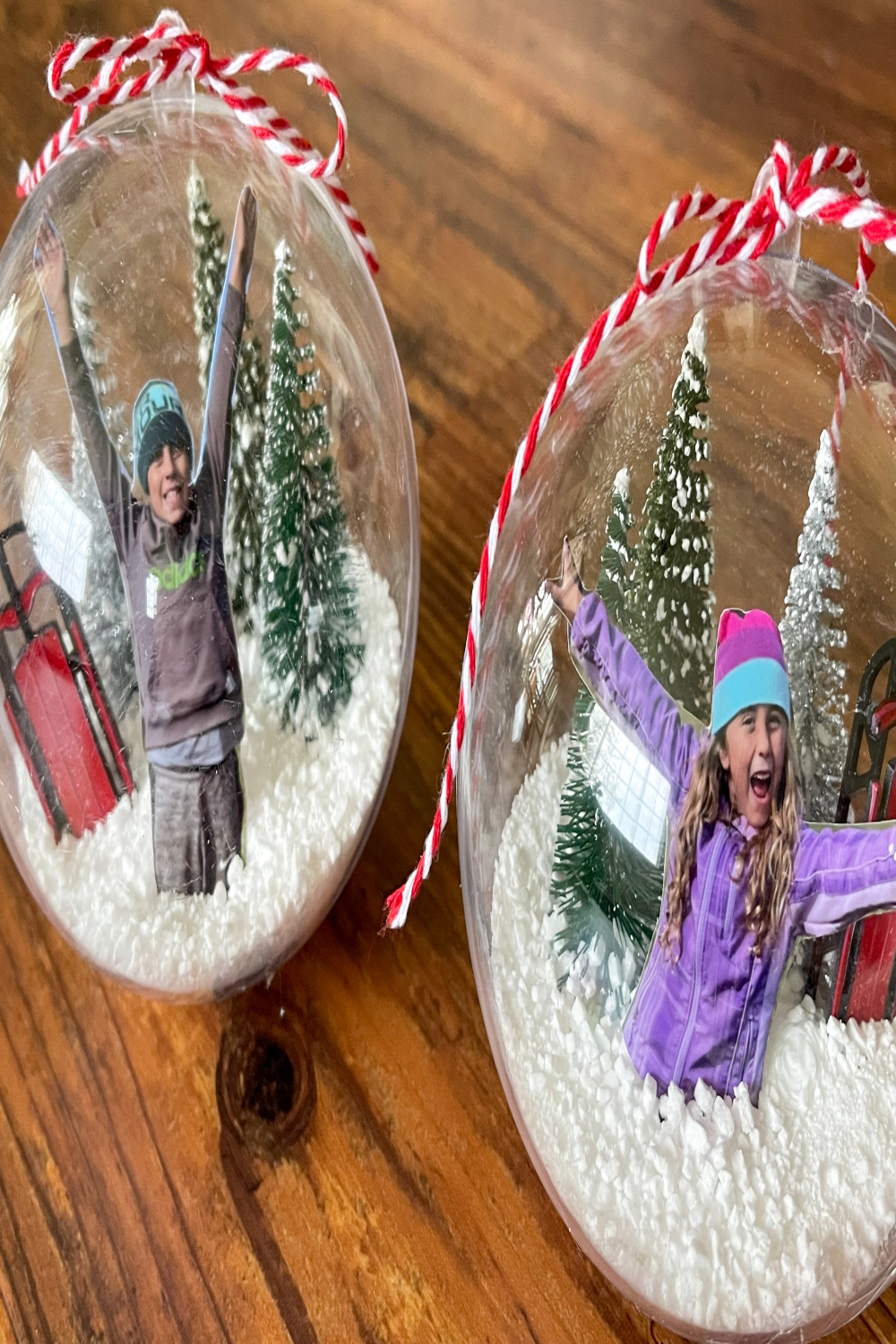 DIY Photo Snow Globe Ornament  The Renegade Seamstress