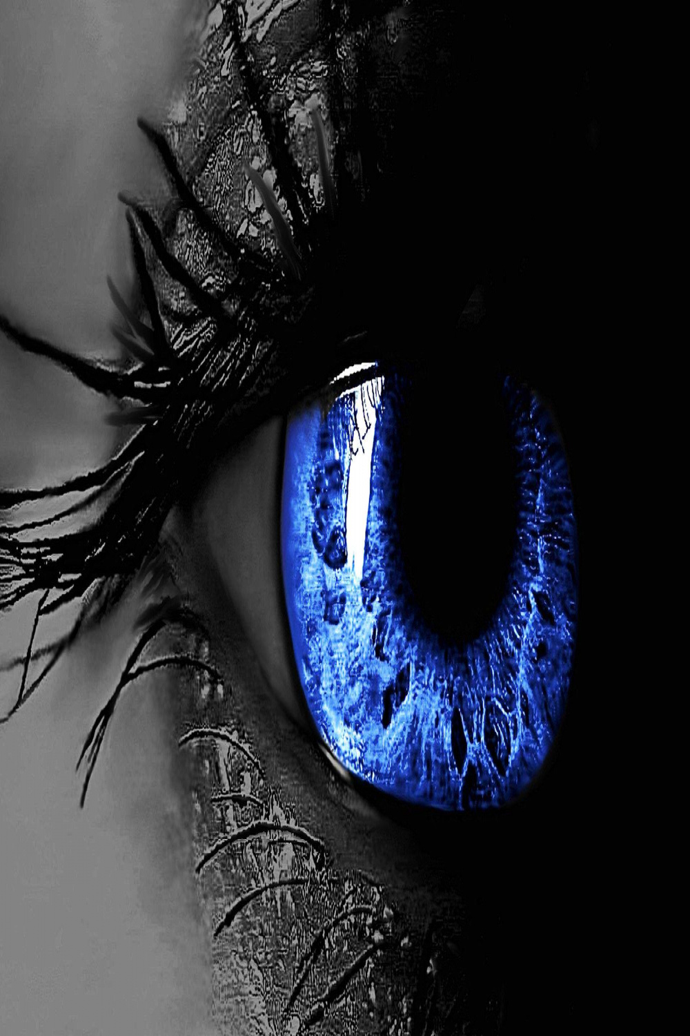 Eyes Wallpapers d - Wallpaper Cave