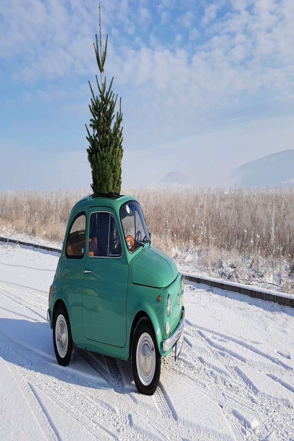 Fiat  Christmas tree