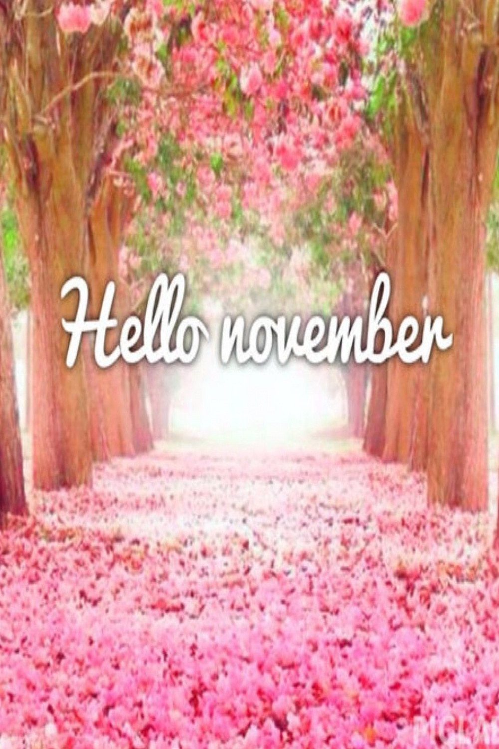 Hello November  Hello november, Welcome november, Happy november