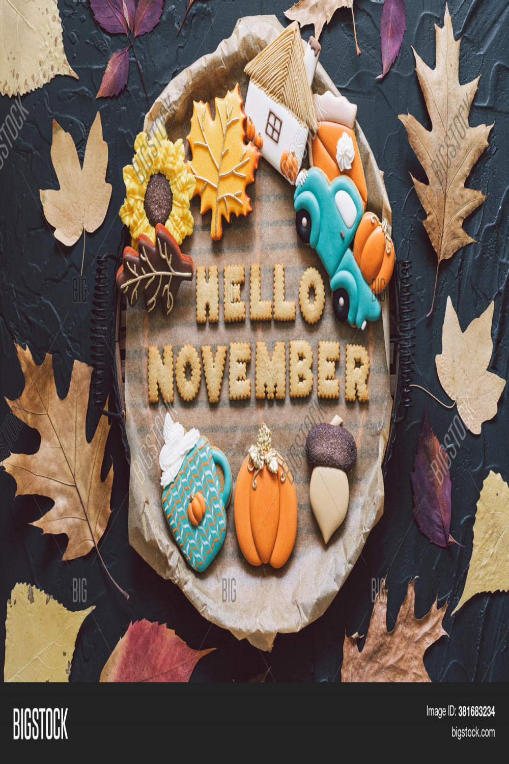 Hello November