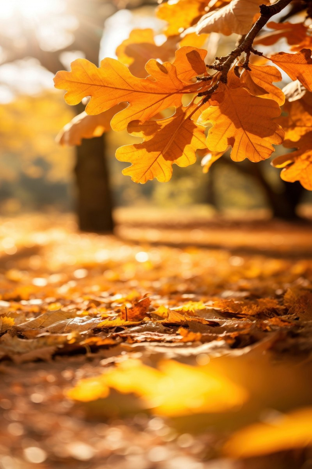 Iphone Wallpaper Autumn Images  Free Photos, PNG Stickers