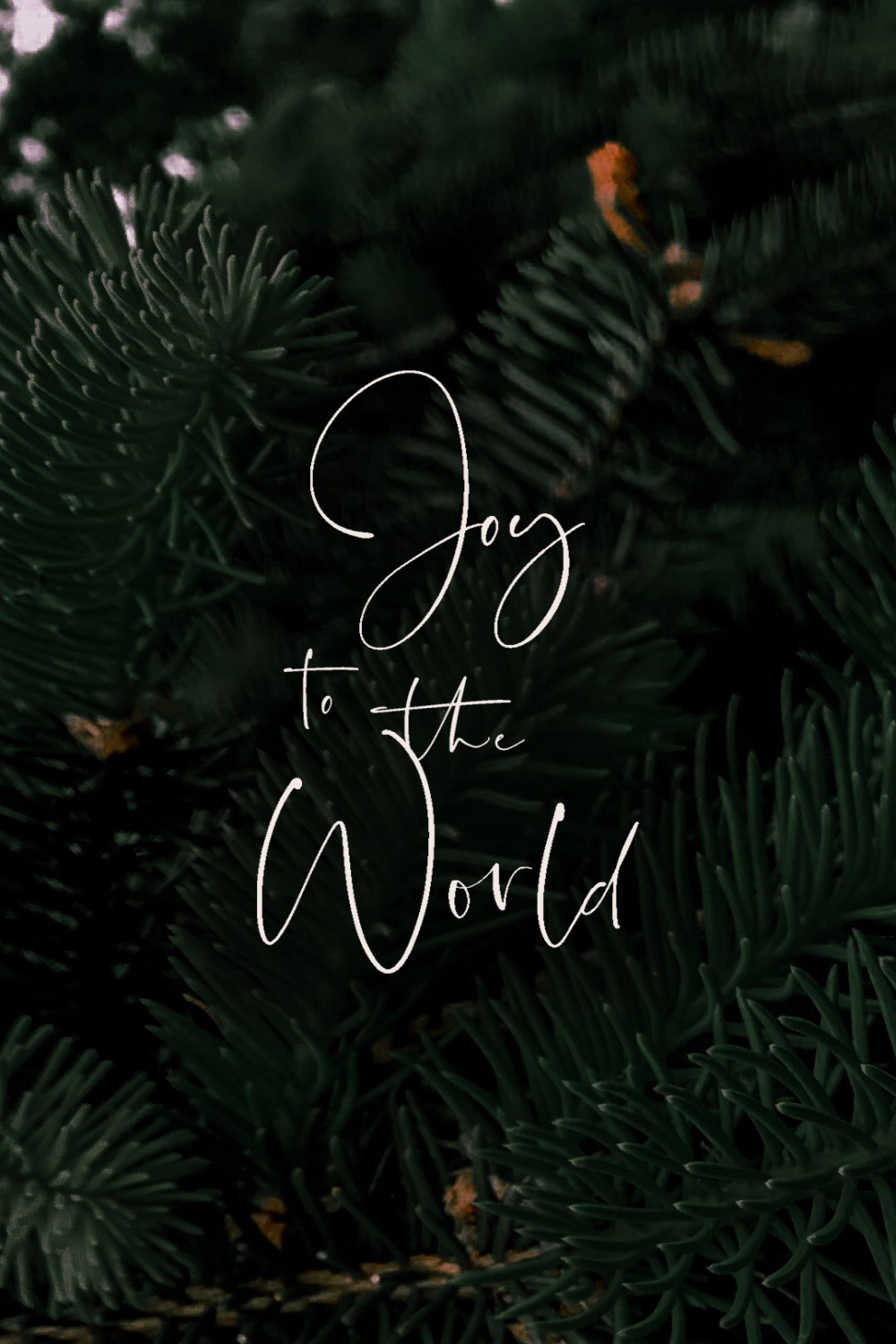 Joy To The World  Christmas wallpaper, Joy to the world, World