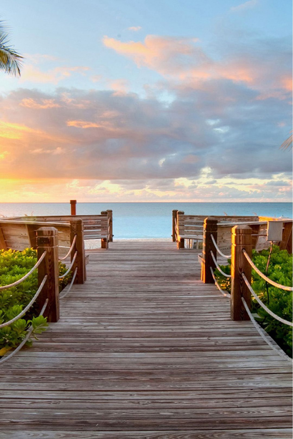 Nature Sunny Bright Skyscape Wooden Bridge iPhone  Wallpaper