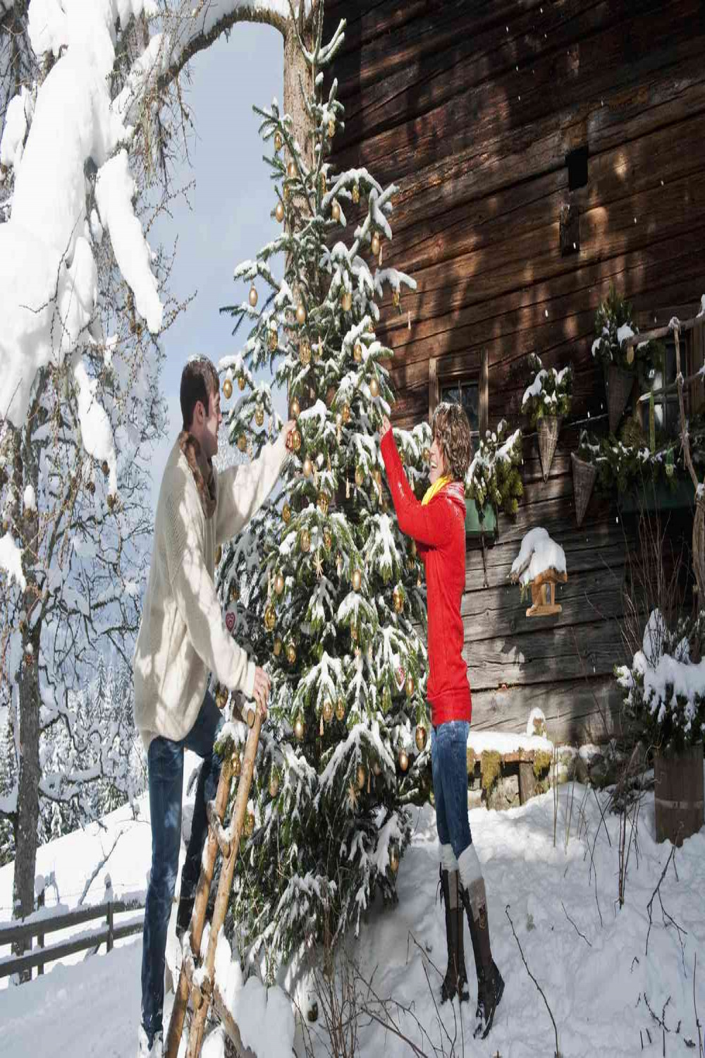 Outdoor Christmas Decorating With Trees and Foliage