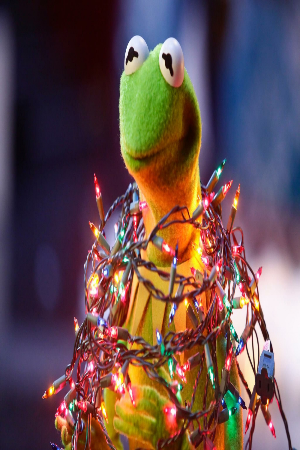 Pin by Joie Boughner on Christmas Crafts and Treats  Muppets