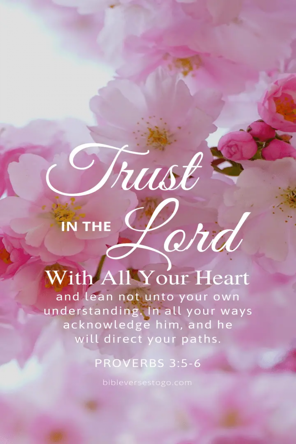 Pink Bloom Prov :- – Encouraging Bible Verses