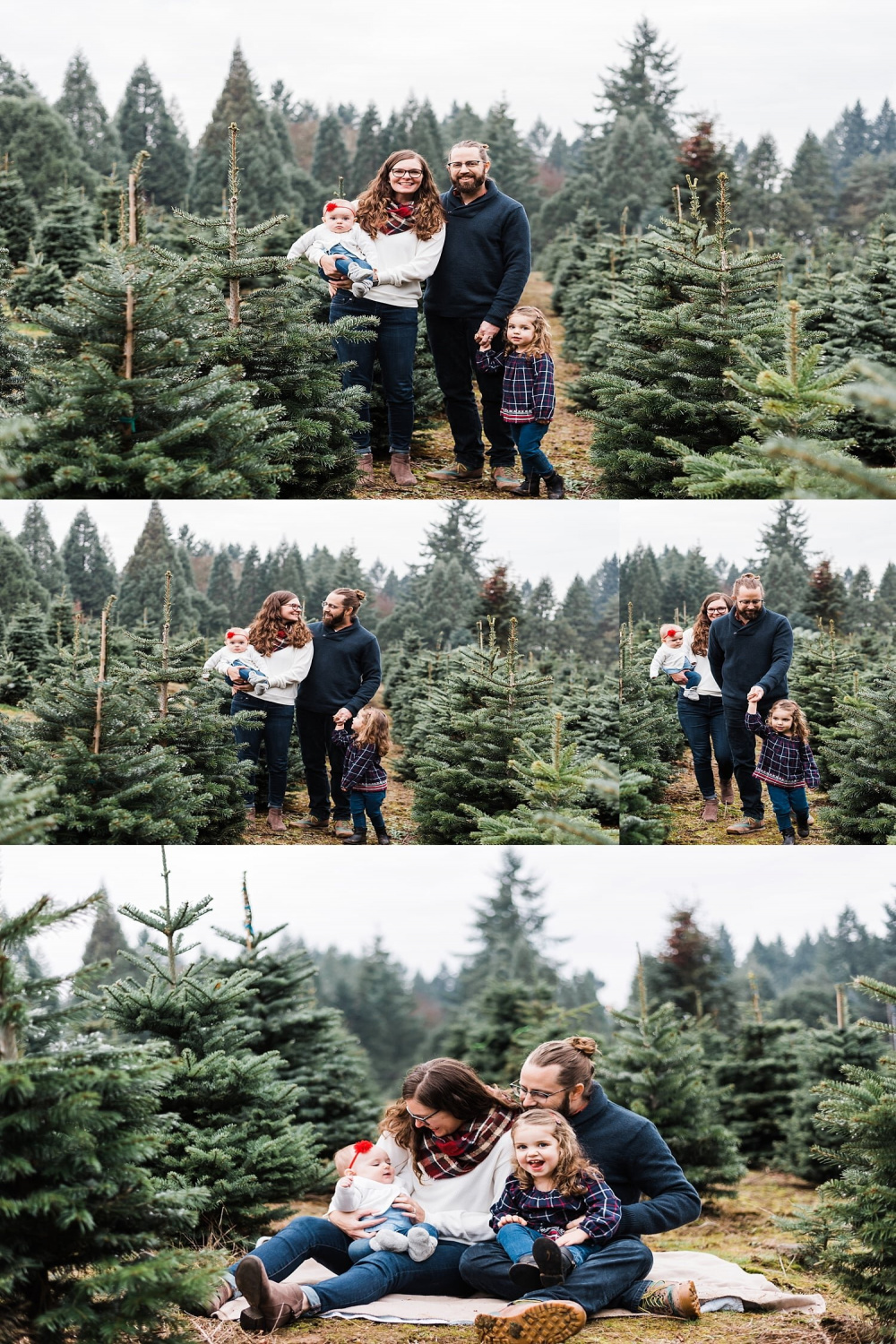 Portland Oregon Christmas Tree Farm Photos — Elizabeth Hite