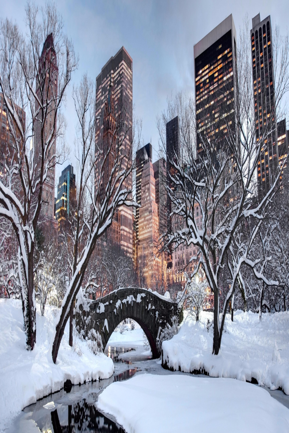 Snow, winter, united states, new york city, tree, sky, building