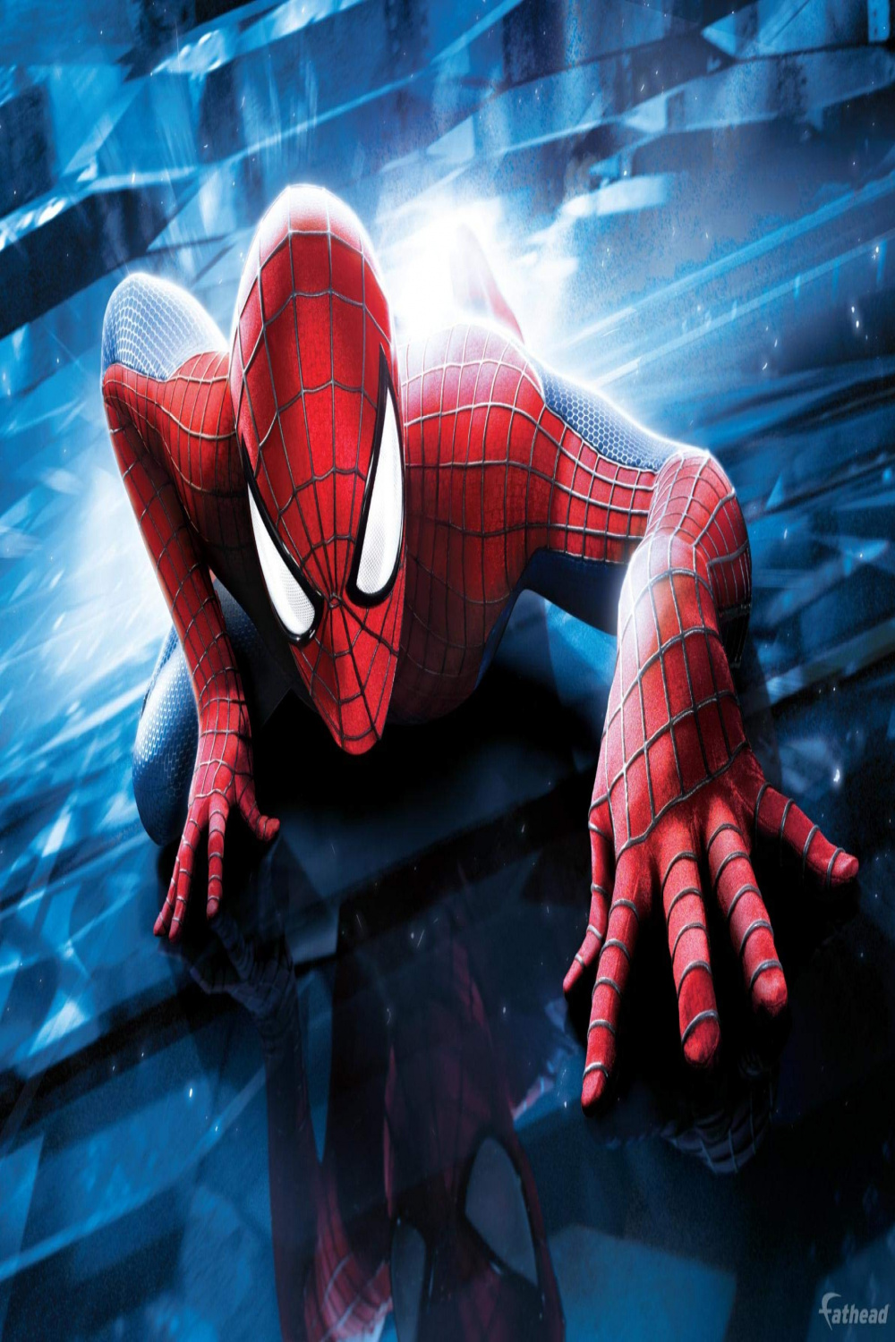 Spiderman Wallpaper - Spiderman Wallpaper Wall Picture D Vision