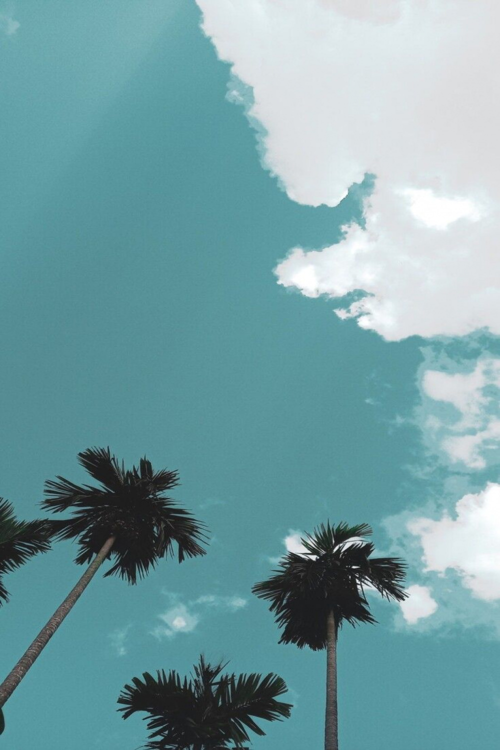 Summer Wallpaper For iPhone  + Sun-Filled Backgrounds For