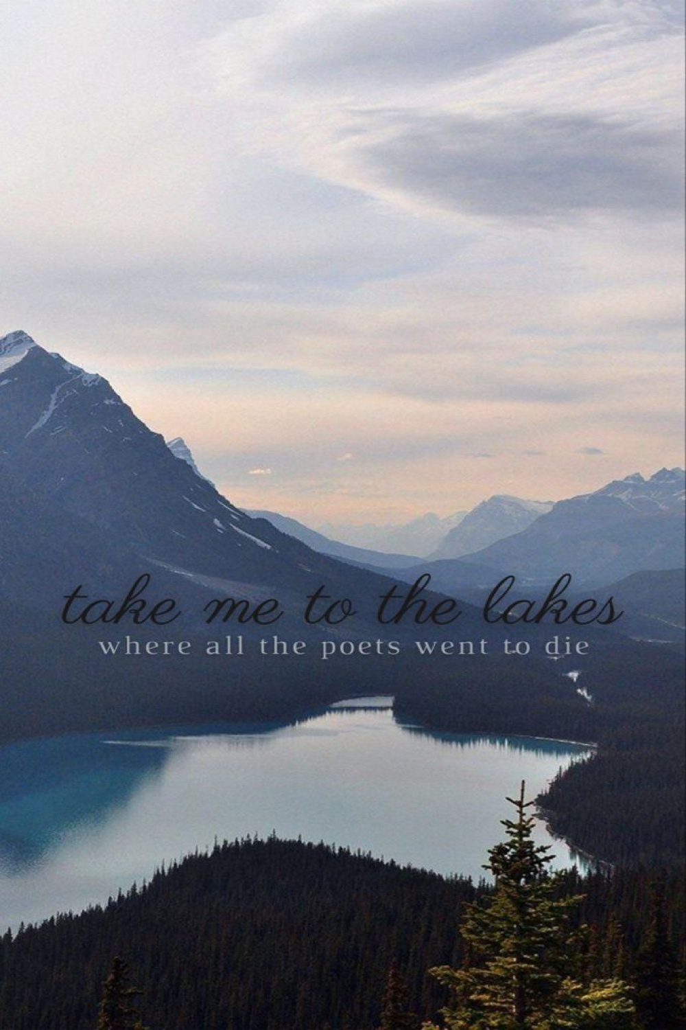 the lakes wallpaper  Taylor swift wallpaper, Taylor swift lyrics