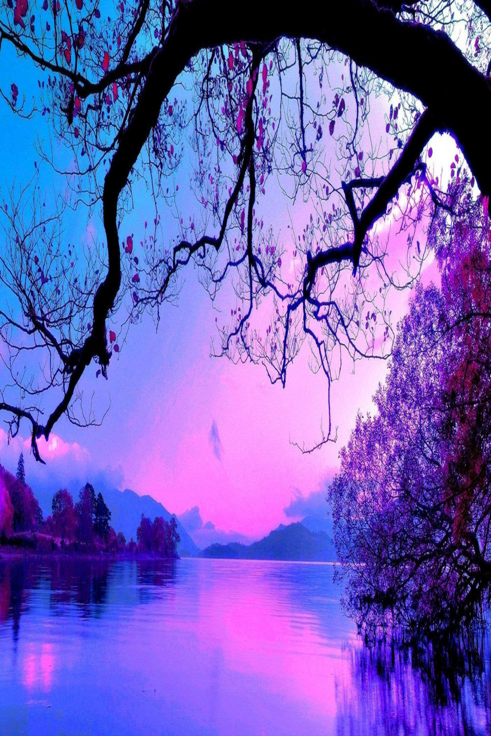 Blue and Purple Sunset HD wallpaper  Sunset wallpaper, Purple