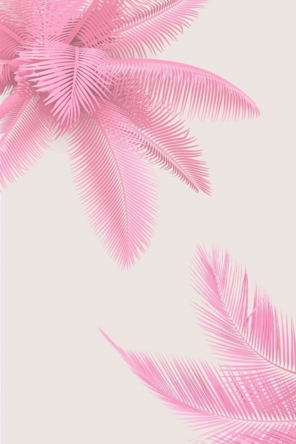 pink-background-pink-palm-leaves-drawing-aesthetic-iphone