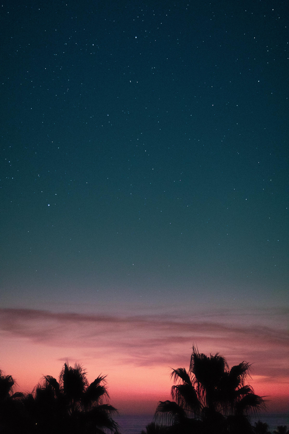 ,+ Summer Night Pictures  Download Free Images on Unsplash