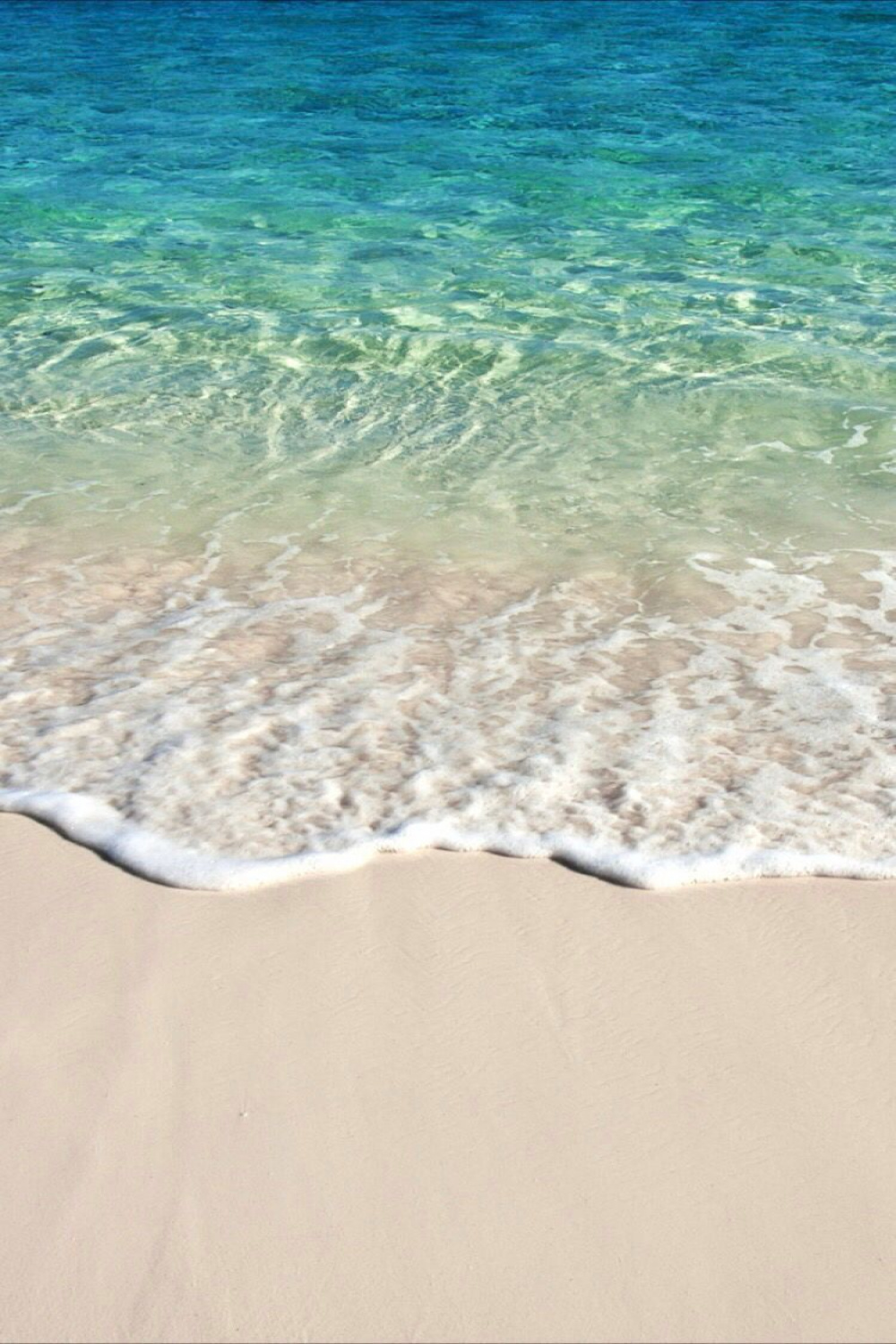 Summer wallpaper for your iphone xr from everpix  iphone