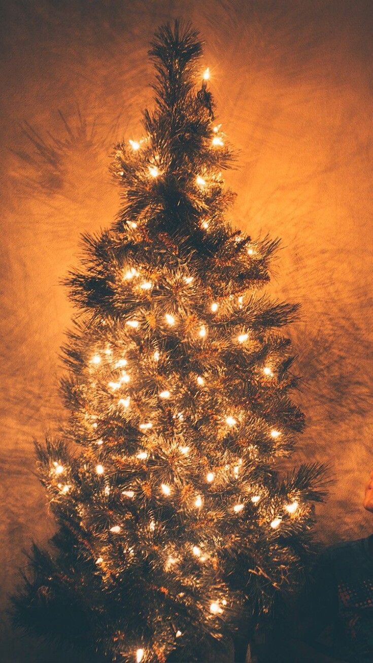 Christmas Tree Wallpaper Hd