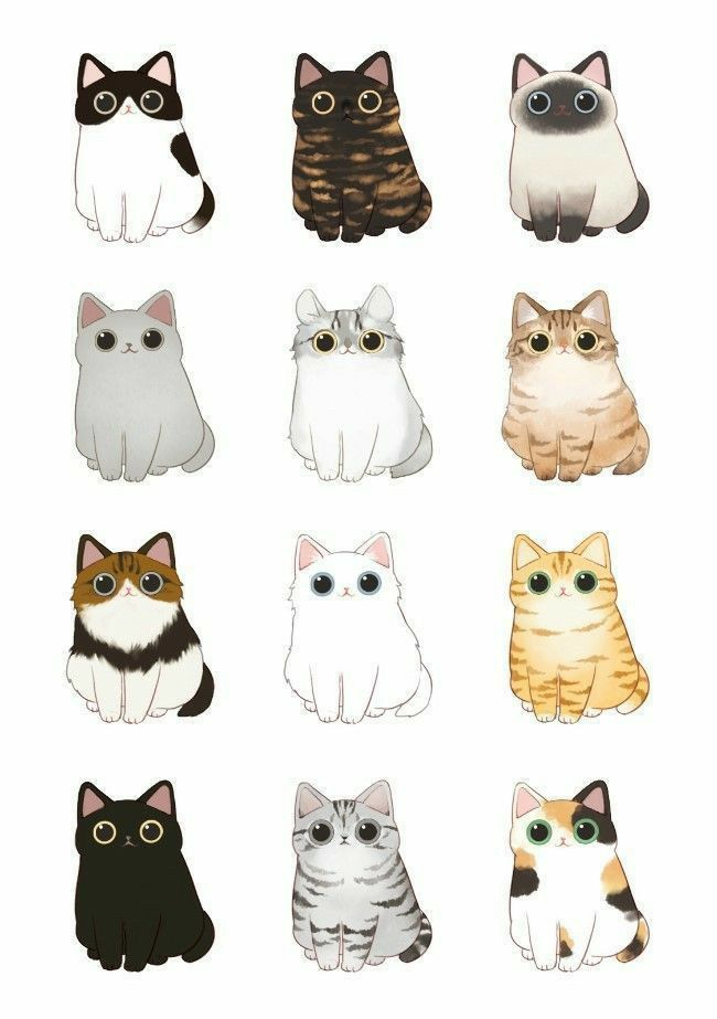 20 Cute Cat Illustration Wallpaper Iphone