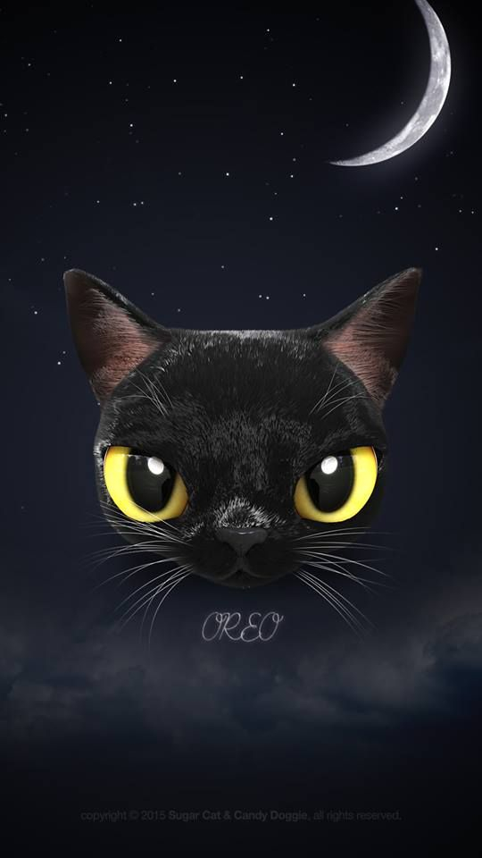 20 Cute Cat Illustration Wallpaper Iphone