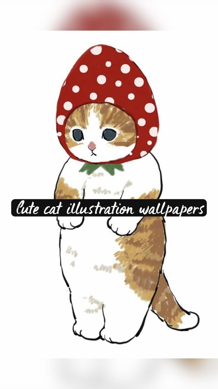 20 Cute Cat Illustration Wallpaper Iphone