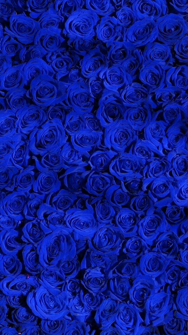 20 Cute Royal Blue Wallpaper Iphone